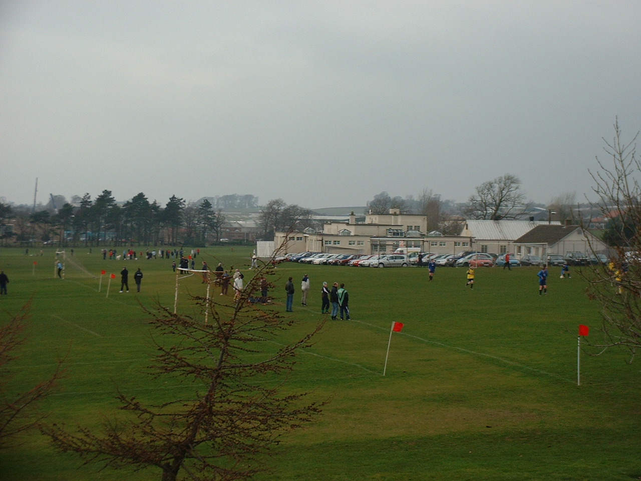 PitreaviePlaying Fields